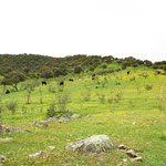On the way to Galisteo