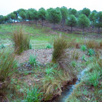 Nature Park "Sierra Norte de Sevilla"