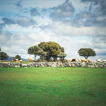 On the way to Valverde de Valdelacasa