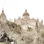 Cathedral of Salamanca