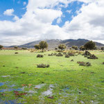 On the way to Valverde de Valdelacasa