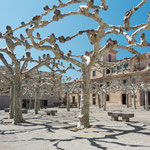Plaza Viriato, Zamora