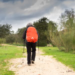 On the way to Aldea del Cano