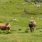 On the way from Sotres to Bulnes, Picos de Europa National Park