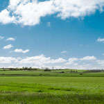 On the way to Zamora