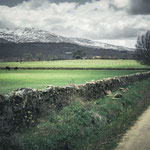 On the way to Valverde de Valdelacasa