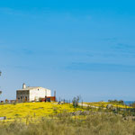 On the way to the Tajo water reservoir