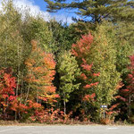 Indian Summer überall