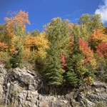 Indian Summer