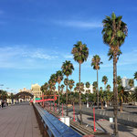 La Barceloneta 1