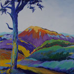 Kleurig landschap