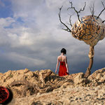 Der Baum der Erkenntniss oder paradise lost