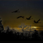 fly over