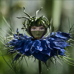Flora