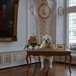 So, Sie möchten also Ludwig IV beantragen - hm