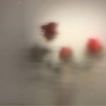 Dreaming Flowers