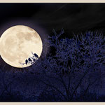 oh moon