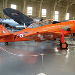 T6 Texan