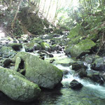 涼しげな音を立てて流れる抜井川
