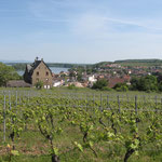 Blick aus den Weinbergen