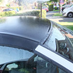 As you can see, the roof has lost it`s water repellent qualities.
