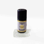 Weißtanne bio 5 ml  100% naturreines ätherisches Öl