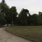 Bäume im Park