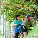 25. September: Im Steilhang ist auch die Ernte mühsame und schweißtreibende Handarbeit.