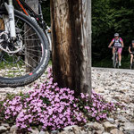 2. Juni: Dieses Mal sind wir nicht in den Montiggler Wald, sondern an den Gardasee zum Biken gefahren. In einer Autostunde ist man von Eppan aus dort.