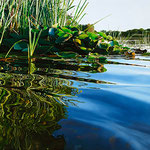 Johannes Schramm "in my local recreation area" 140x250cm Oil on canvas 2020, privately owned 