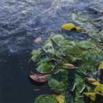 Johannes Schramm "Swinging green" 150x150cm oil on canvas 2025, privately owned