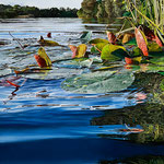 Johannes Schramm "Midsummer 1" 120x80cm oil on canvas 2025, privately owned