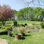 Domaine de Joreau accès au grand parc