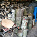 Im Mai bereits wurde mit der Brennholzbearbeitung begonnen, nachdem etlicher Schneebruch vom Vorjahr aus dem Wald geholt war