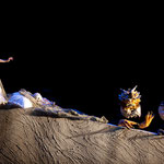“Pinocchio” di P. Valtinoni (Fata Turchina) - Teatro Regio di Torino,  2011 e 2012