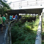 Wandeling over de Paul Sauer brug