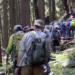 山道を行く