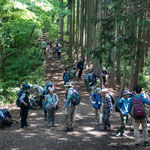 小下沢からの登山道出合で一休み。近くではハクウンボクが開花