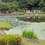 二の丸の池