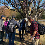 三田台公園での樹木観察の一光景