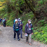 観察：日影林道を歩いて秋の草花を観察します