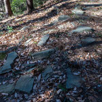 青山城本丸跡に散乱する緑泥石片岩の端石