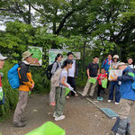 髙尾山頂で植物観察