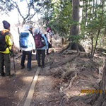 登山途中での自然観察