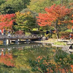 水面に影を移す昭和記念公園の紅葉