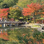 水面に影を移す昭和記念公園の紅葉