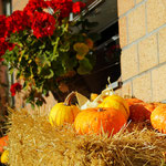 Herbst im Senggihof.