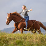Pferdefotografie in Geisingen