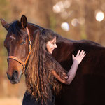 Pferdefotografie in Singen