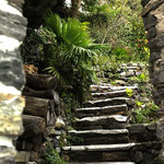 Treppen zum See